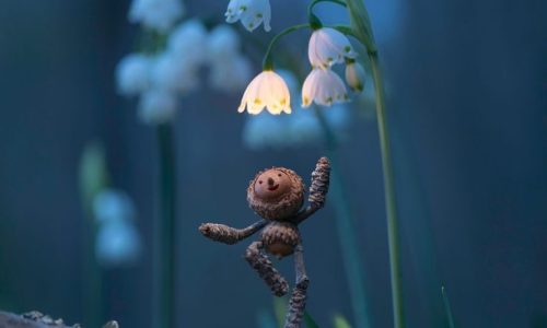 Becorns & Nurturing Creativity with local artist David M_ Bird